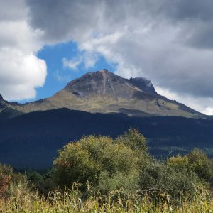 malinche